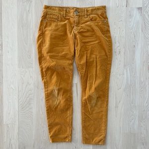 Pilcro and the Letterpress corduroy trousers
